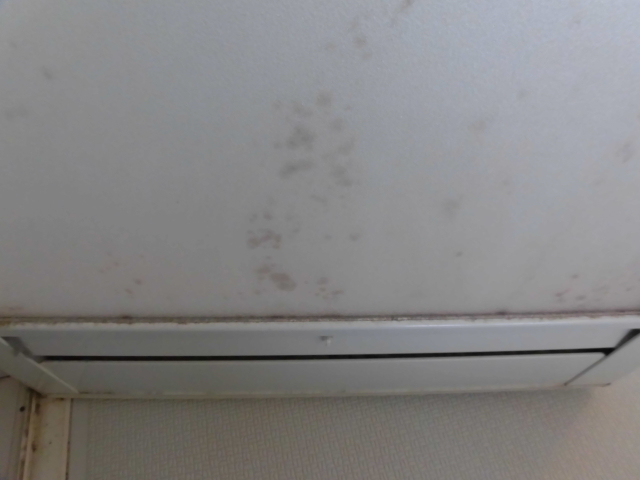 浴室の扉の汚れ