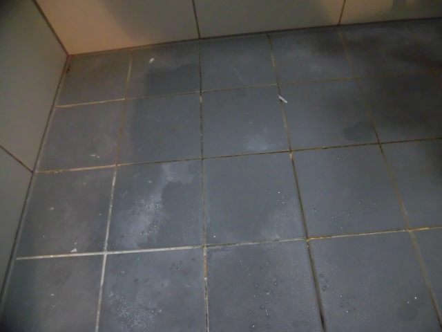 浴室タイルの床の汚れ